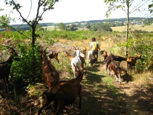 Ferme Berwete